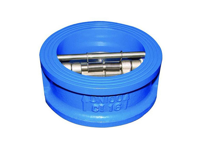 DIN Dual Disc Check Valve