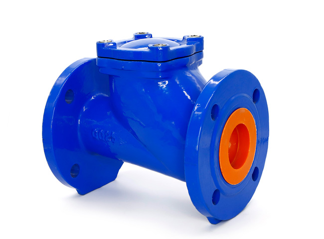 Rubber Disc Check Valve